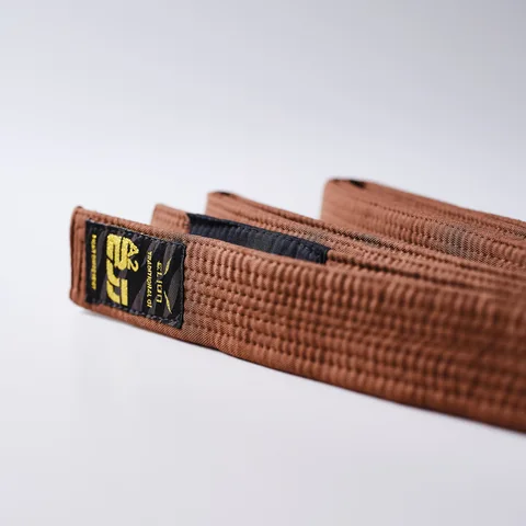 Ceinture de JJB Elion Squale, marron