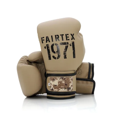 Gants de boxe d’entraînement Fairtex Serie Limitee F DAY 2