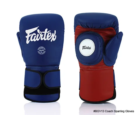 Gants Fairtex pour Coach BGV13
