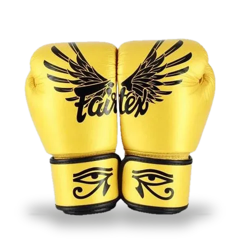 Gants de boxe d’entraînement Fairtex BGV1 Falcon
