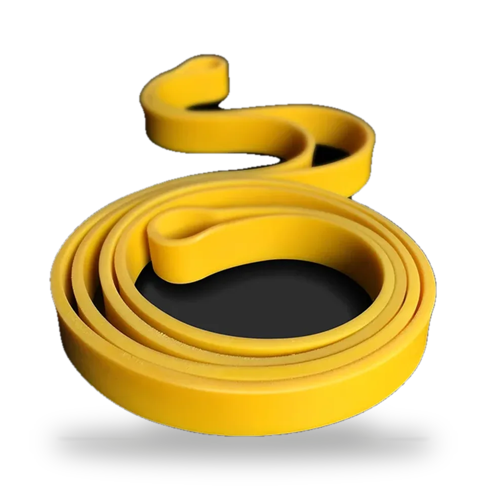Élastique Excellerator 16 kg