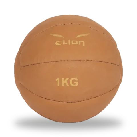 Medicine-ball Elion, marron