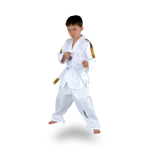 Dobok Kwon Taekwondo Tiger